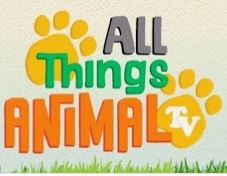 All things Animal TV